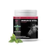 Peticare Poudre Immunité & Vitalité pour Chevaux | Soutient défenses Naturelles & Protection cellulaire | avec Ginseng, échinacée & polyphénols | Complément Naturel | petHorse Health 4611