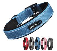 PetiFine Collier de chien robuste pour chiens de grande et très grande taille, rembourré avec boucle en nickel réfléchissante, taille pratique pour toutes les races (61 à 71 cm, bleu)