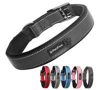 PetiFine Collier de chien robuste pour chiens de grande et très grande taille, rembourré avec boucle en nickel réfléchissante, taille pratique pour toutes les races (61 à 71 cm, noir)