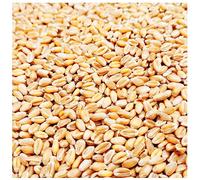 Petigi 5-30 kg Grain Graines de Blé Aliments pour Animaux Poulet Volaille