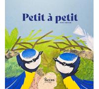 Petit à petit