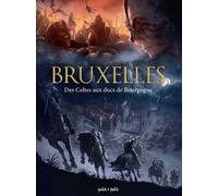 PETIT A PETIT Bruxelles en BD tome 1 - Des celtes aux ducs de Bourgogne