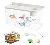 Petit aquarium à poissons de combat avec 3 lumières de couleur | Aquarium de bureau | Aquarium pour table table de travail salon chambre à coucher