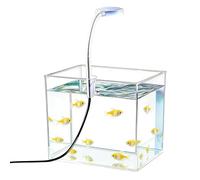 Petit aquarium avec éclairage LED, antidérapant et décoratif