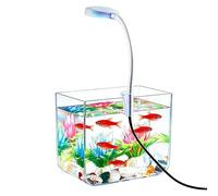 Petit aquarium, avec lumières LED, décoration de table esthétique, kit d'accessoires Betta pour la maison, l'appartement, le bureau, l'hôtel, les débutants, adultes, , l'observation de la pêche