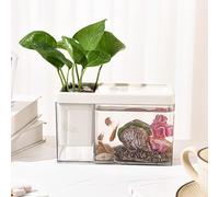 Petit aquarium, boîte à poissons dorée, boîte de rangement transparente for stylos, papeterie, petite boîte écologique, bureau peut créer un paysage, aquarium, décoration de chambre, bureau/1369