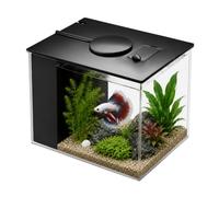Petit Aquarium Complet, Mini Aquarium Plastique, avec Pompe de Filtration et Éclairage LED Réglable, Aquarium à Circulation Automatique, pour Petits Poissons, Crevettes et Plantes Aquatiques (Black)