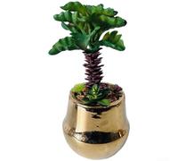Petit arbre artificiel plaqué réaliste avec pot pour la maison, le bureau, le restaurant, pour hôtel, décoration de table, finition métallique élégante, simulation de 21 à 22 cm de hauteur (Q042C1S147