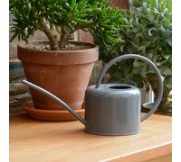 Petit arrosoir en Acier galvanisé de 1,1 l avec revêtement en Poudre Peinture à la Craie pour Plantes d'intérieur Design Moderne en métal avec Bec Fin et poignée Haute (Gris