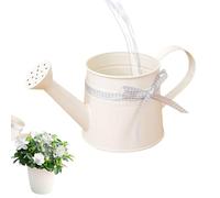 Petit Arrosoir Enfant, Mini Arrosoir en Métal 1 L, Arrosoirs Portables avec Pommeau De Douch pour Arrosage Précis, pour Plant D'Intérieur Et Jardin Intérieur/Extérieur