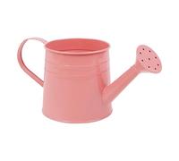 Petit arrosoir pour d'intérieur Vase à Fleurs de 1 Litre, Petit Pot de