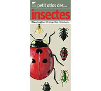 Petit atlas des insectes: Reconnaître 80 insectes communs