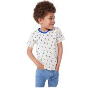 Petit Bateau A0CYT Tee Shirt Manches Courtes Avalanche/Perse Garçon 10 Ans