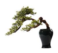 Petit bonsaï Artificiel, bonsaï Artificiel, Plante de Simulation d'intérieur, Pot de Fleurs en céramique, Bureau, Plantes artificielles d'intérieur pour Salon, Fausse Plante, décoration de