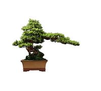 Petit bonsaï Artificiel, Pots d'arbres artificiels, Plantes de Simulation, Pots de Fleurs en Pot avec Feuilles artificielles de Sable, Ornements de Salon, de Bureau, de Maison, décoration de