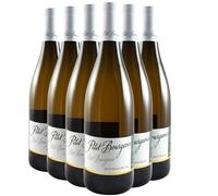 Petit Bourgeois Sauvignon - Blanc 2024 - Henri Bourgeois - Vin de France - Vin Blanc (6x75cl)