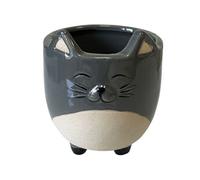 Petit cache pot chat gris 10 cm
