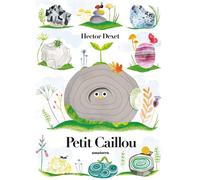 Petit caillou - Hector Dexet - Amaterra - cartonné - Album jeunesse