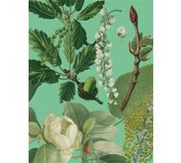 Petit carnet Arbres Collectif (Auteur)
