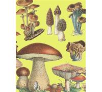 Petit carnet Champignons - Collectif - Jolies Planches - broché - Carnet (de voyage, intime, de notes)