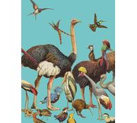 Petit carnet Oiseaux