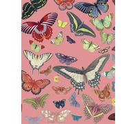 Petit carnet Papillons - Collectif - Jolies Planches - broché - Carnet (de voyage, intime, de notes)