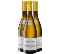 Petit Chablis - Blanc 2023 - Philippe Bouchard - Vin Blanc de Bourgogne (3x75cl)