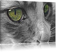 petit chat dans le format Deluxe de profil latéral: 60x40 cm sur toile, énorme XXL Photos complètement encadrée avec civière, art impression sur murale avec cadre, moins cher que la peinture ou la peinture à l'huile, aucune affiche ou un poster