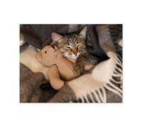 Petit Chaton avec Son Doudou préféré Faisant Une Sieste de l’après-midi，1000 Pièces Puzzle en Bois Créatif Difficile Grand Puzzle Éducatif Anti-Stress Jouets pour Adultes Enfants -B89