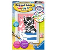 Peinture Par Numéro Chaton
