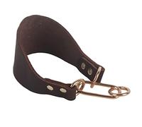 Petit Collier de Chien pour Greyhound Whippet |Fixation à Double Rivet de 4 mm d'épaisseur |Conception élargie Robuste pour la Protection du Cou |Facile à Mettre, Marron