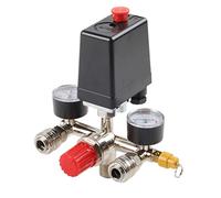 Petit compresseur d'air 175 psi - Manifold - Régulateur de pression - Manifold Part Assembly