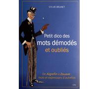 Petit dictionnaire des mots démodés et oubliés - BRUNET-S - City - broché - Dictionnaire et encyclopédie