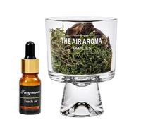 Petit diffuseur d'huile, diffuseur en Verre - Diffuseur Passif avec Mousse de pin - Diffuseur d'huile décoratif, diffuseur de Parfum d'intérieur avec Parfum Longue durée pour rafraîchir l'air