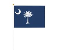 Petit drapeau de la Caroline du Sud - Idéal pour les événements en plein air, l'esprit d'équipe et les décorations, 14 x 20,8 cm
