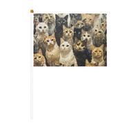Petit drapeau imprimé chat à main pour défilés, Mardi Gras, bannière personnalisée (6 pièces)