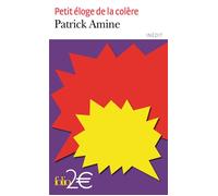Petit éloge de la colère - Patrick Amine - Gallimard - Poche - Roman