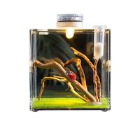 Petit enclos pour animaux de compagnie, spacieux avec ventilation, petite armoire pour animaux de compagnie, terrarium de croissance de reptiles - Gump Spider Growth |