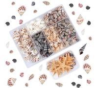 Petit Étoile de Mer et Coquillage Décoration, 110 étoiles de Mer et Coquillages Naturels Coquillages Décoratifs Non Perforées pour Artisanat Décoration D'aquarium Fabrication de Bougies