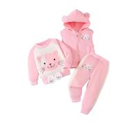 Petit Garçon Fille 3pc Polaire Ensemble Sweatshirt Gilet à Capuche Pantalon | Sweat Polaire d'Automne, Veste Polaire Unisexe Garçons, Broderie Ours Mignon, Manteau Chaud Hiver Vêtements, 12 Mois - 4 Ans