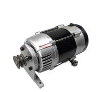 Petit générateur électrique 220 V 50 Hz 2000 W/2500 W/3000 W/5000 W, alternateur à mouvement perpétuel, fréquence, petite communication domestique(2.5KW)