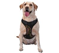 Petit gilet de traction imprimé pissenlit étoilé pour animaux de compagnie à porter lors de la promenade du chien ou de l'escalade des montagnes