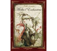 Petit grimoire Merlin l'enchanteur - Xavier Husson - Au Bord Des Continents - relié - Bande dessinée