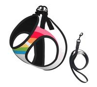 Petit harnais d'été pour chien imprimé arc-en-ciel, gilet doux et léger, harnais réfléchissant pour animal domestique pour une promenade facile