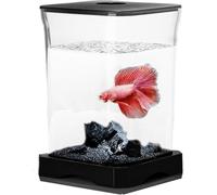 Petit kit de démarrage pour Poissons Betta avec Lampe LED rectangulaire pour décoration de Table,Betta Fish Tank - Table d'aquarium | Nano réservoir de Combattant, Blanc, avec Filtre intégréNouveau mo