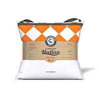 Petit Meunier Oreiller Moelleux 60x60 cm - Plumette et 10% Duvet pour Un Confort mi-Ferme et Respirant - Anti-acariens hypoallergénique - Confection Artisanale en Bourgogne