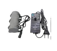 Petit moteur vibrant R3650 DC 12 V 24 V, système d'alarme de régulation de vitesse, équipement de moteur pour chaise de table de massage (US_12V)