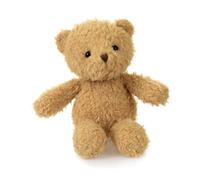Petit ours en peluche morris