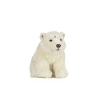 Petit Ours Polaire