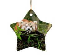 Petit panda rouge imprimé cadeau de Noël en céramique, pendentif unique en forme d'étoile en forme de cœur pour décoration de vacances